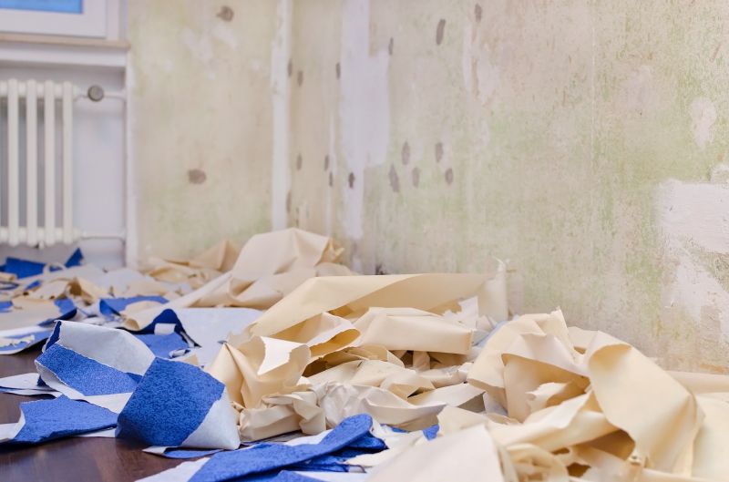 Interior Wall Removal